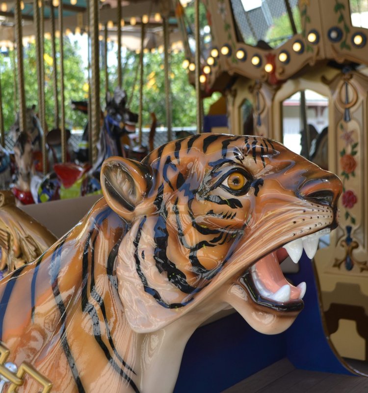 Grand Carousel @ Six Flags Fiesta Texas - Themeparkplanner