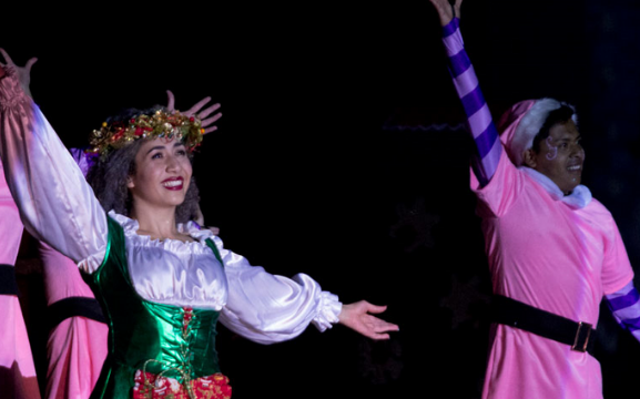 Shows at Christmas in the Park