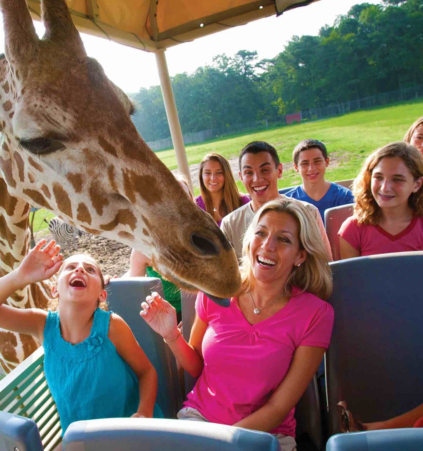 Take The Bus To Six Flags Great Adventure Offmetro Ny Six Flags Great Adventure Highest Roller Coaster Italy Travel Guide