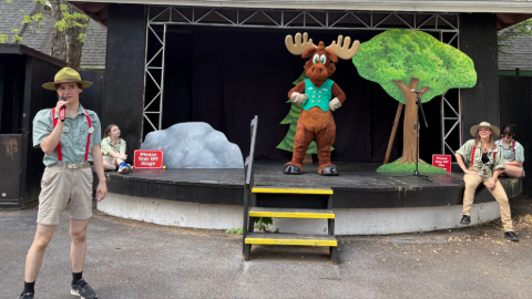 Ask a Moose at Six Flags