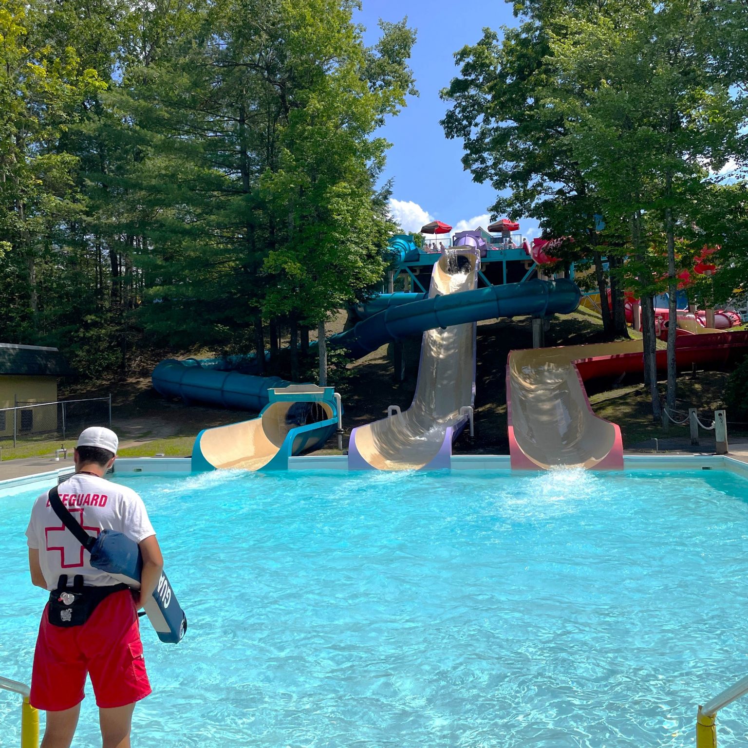 Bamboo Shoots Great Escape