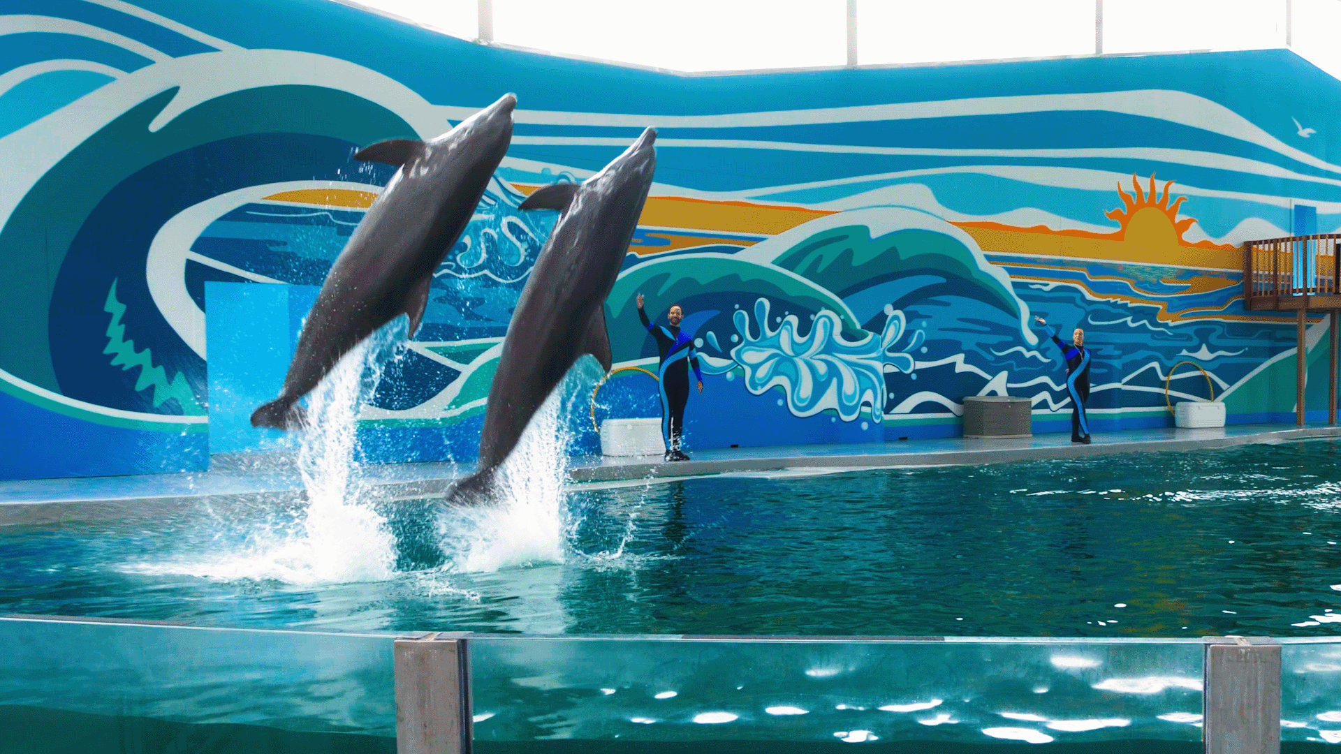 So Flippin Fun at Six Flags Discovery Kingdom
