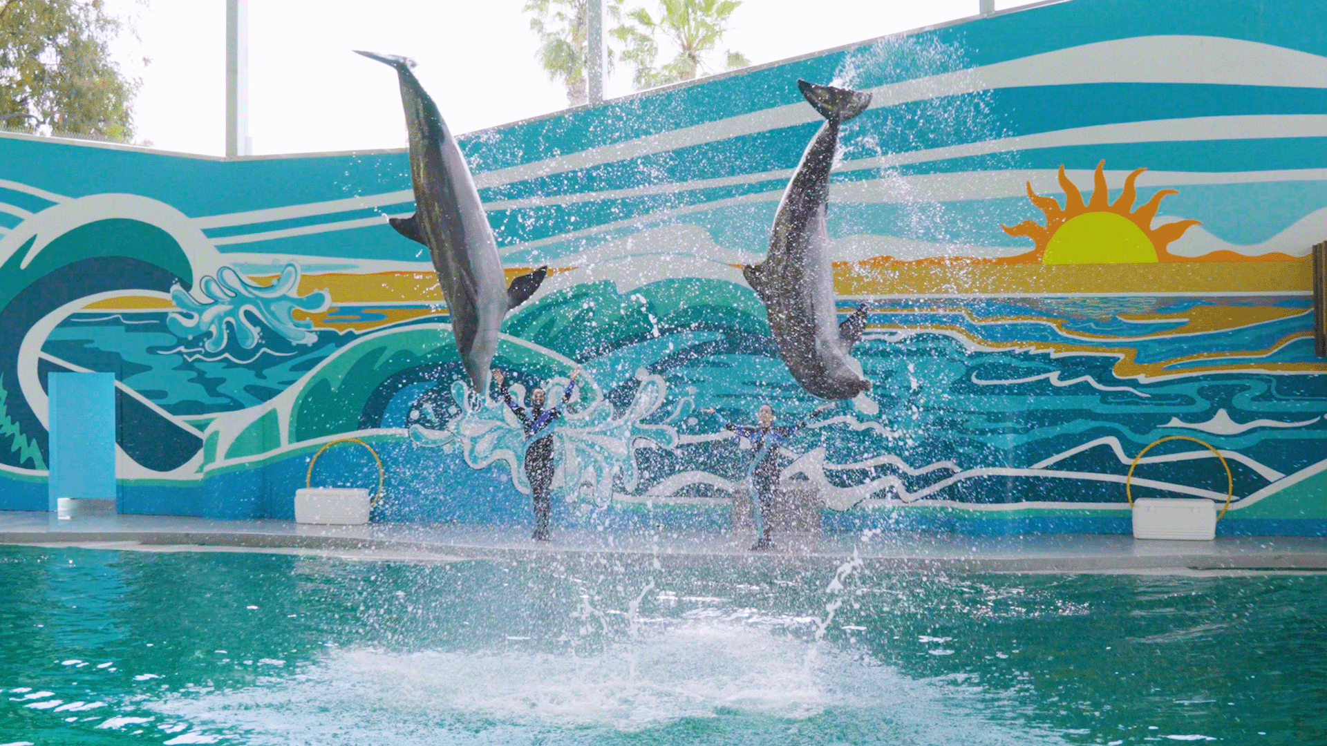 So Flippin Fun at Six Flags Discovery Kingdom
