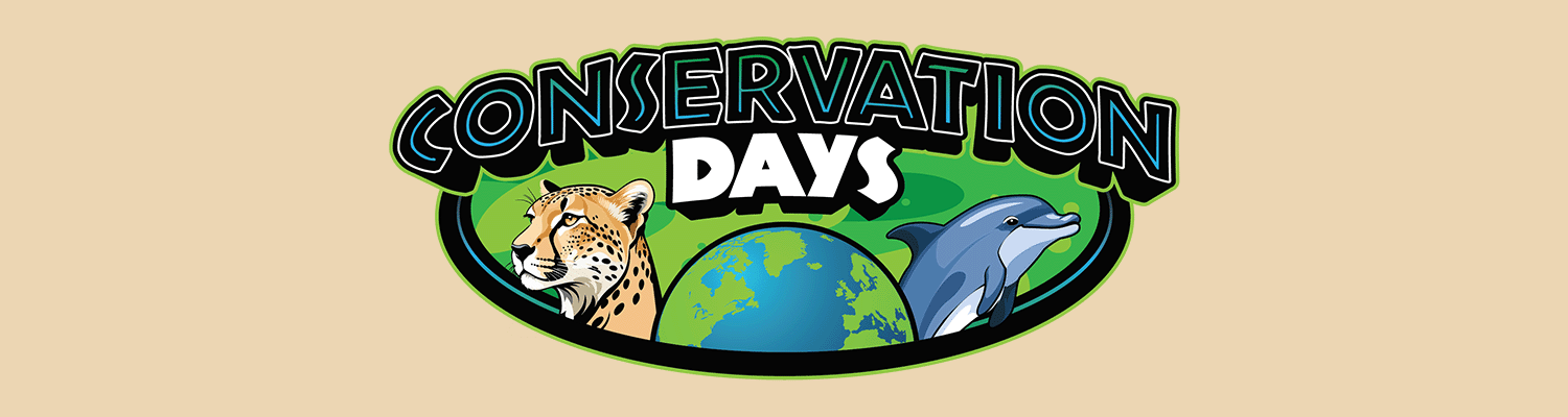 Conservation_hero_new_sfdk