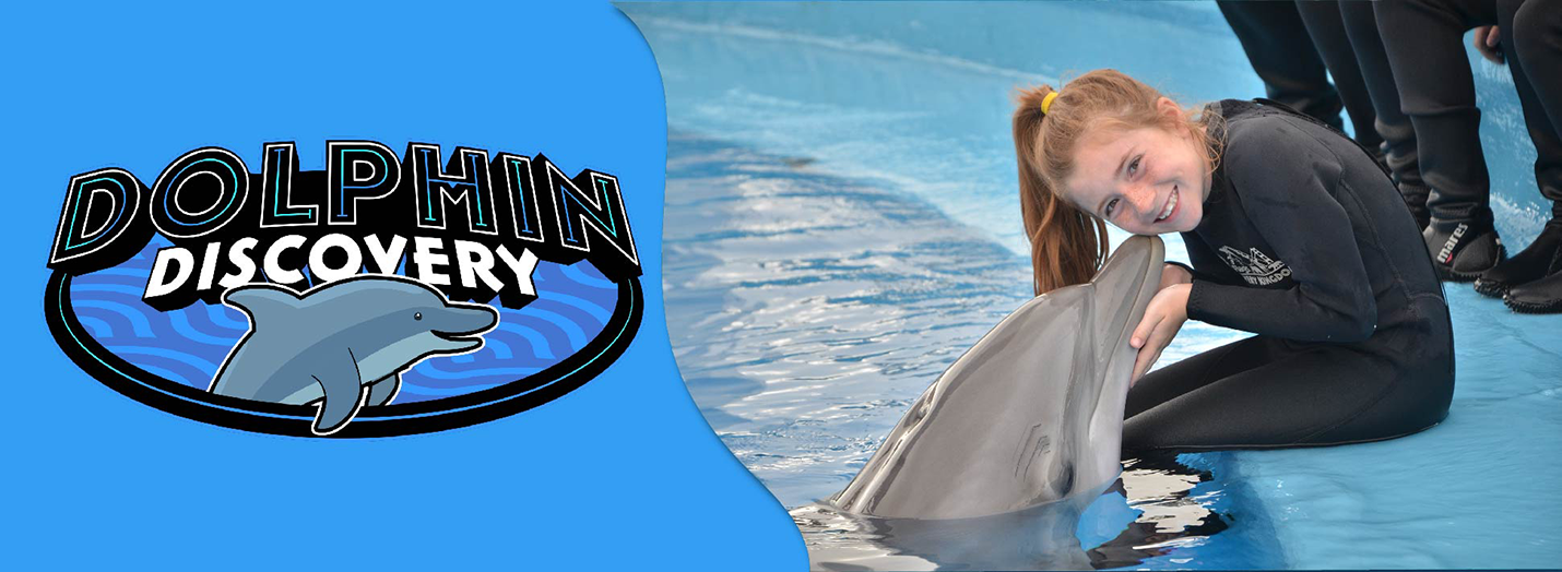 DolphinDiscovery_SFDK