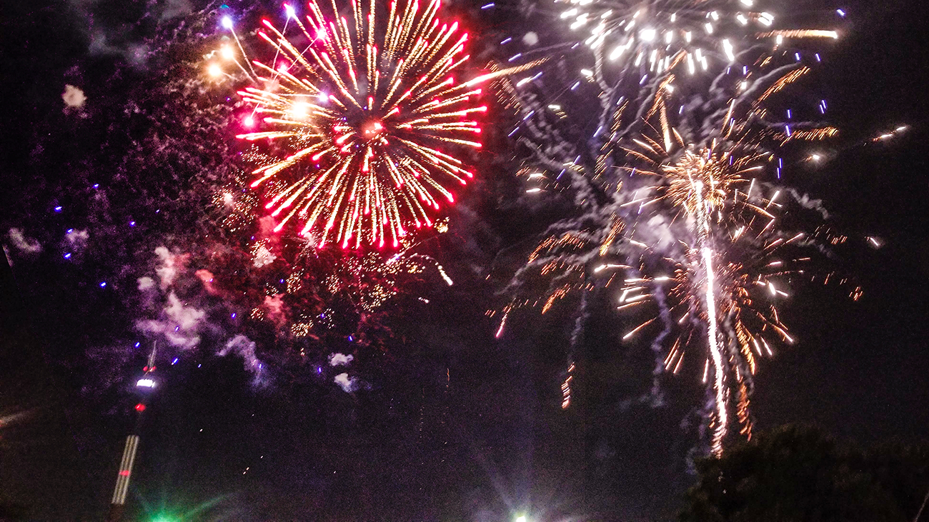 Fireworks in the night sky