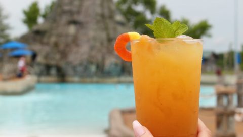 Peach Fizz Drink HH