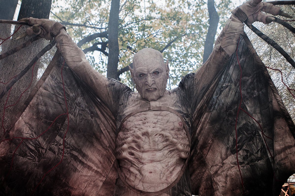 Lantre Des Vampires Detail Image