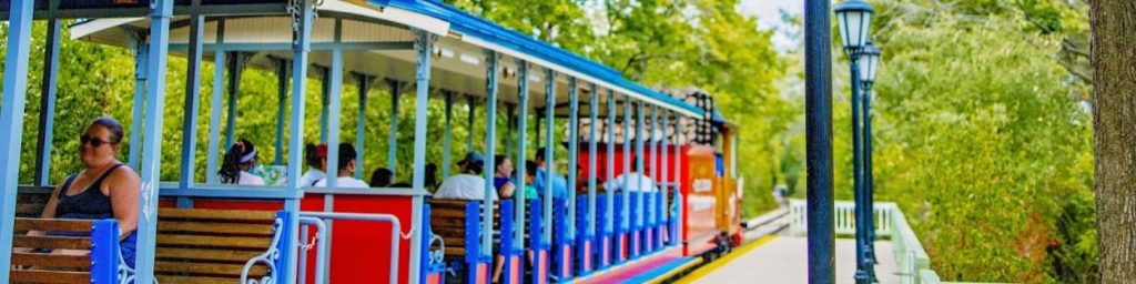 Scenic Railway County Fair Six - My Project 58 1024x256 