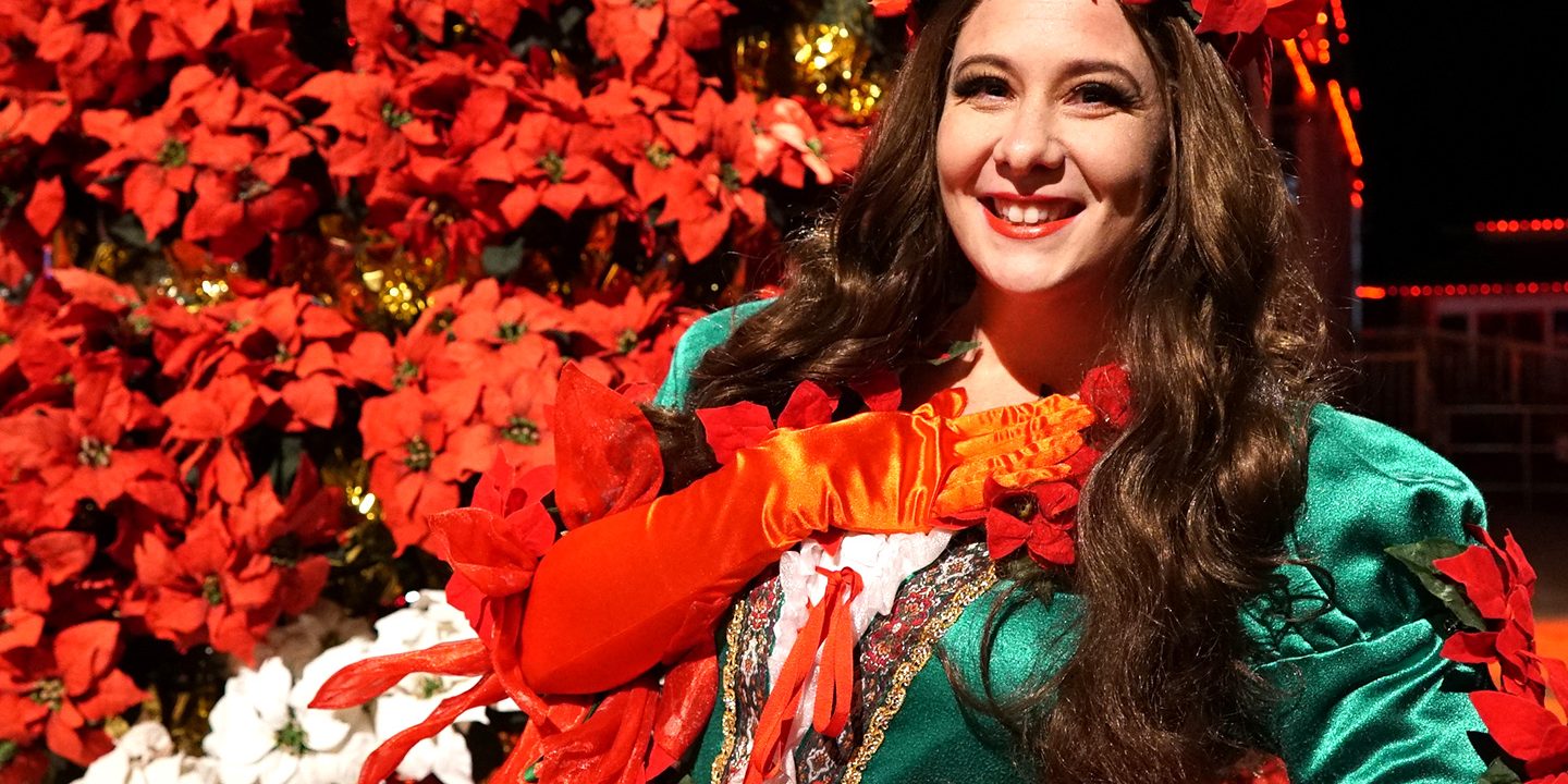 Poinsettia-Princess-v1-1440x1533-2