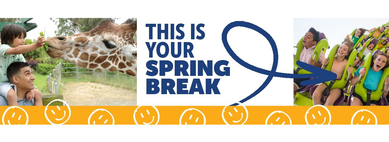 This Is Your Spring Break at Six Flags Discovery Kingdom