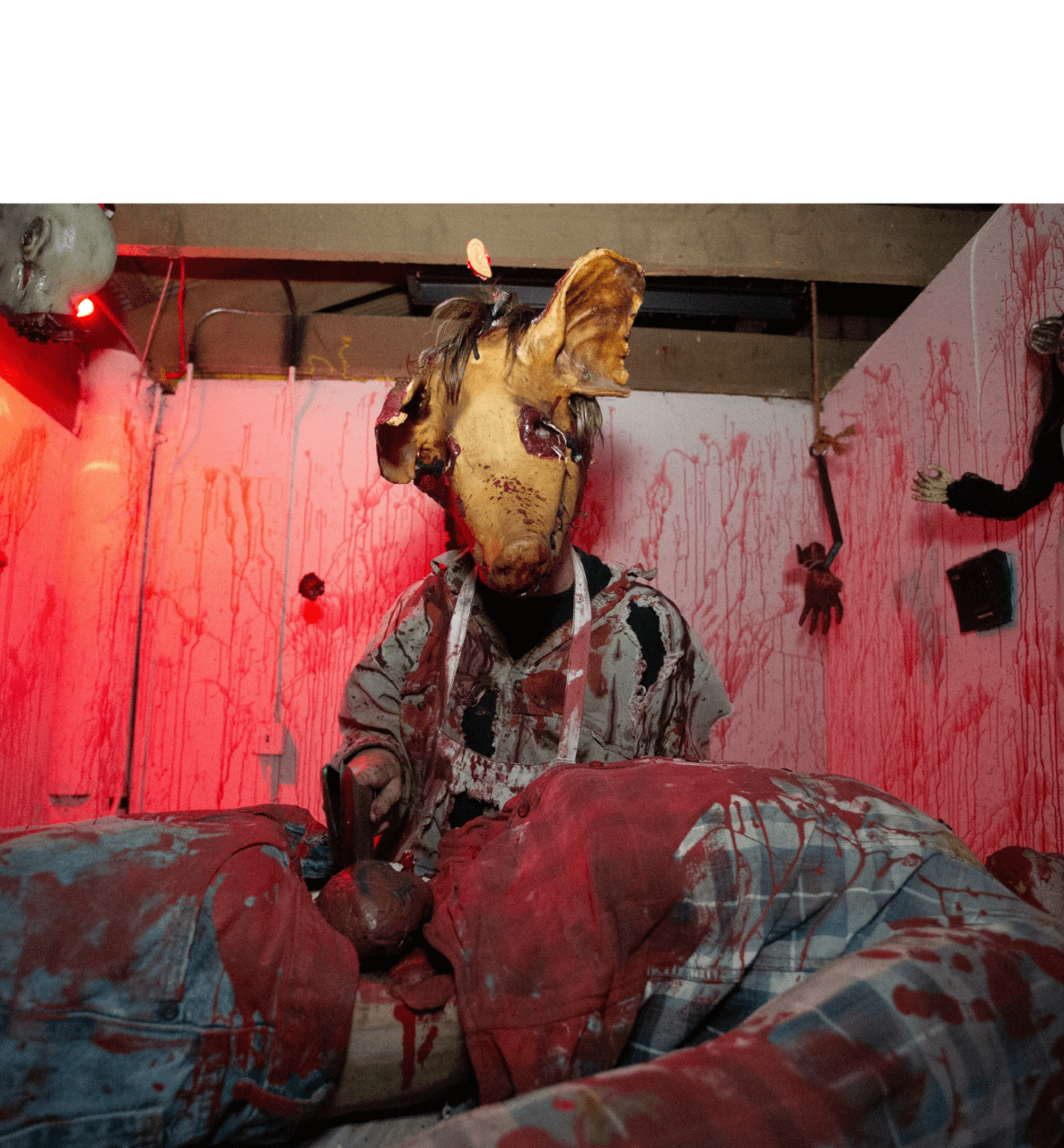SFFT Slaughterhouse 6
