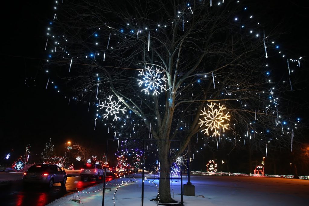 Snow and lights in a tree