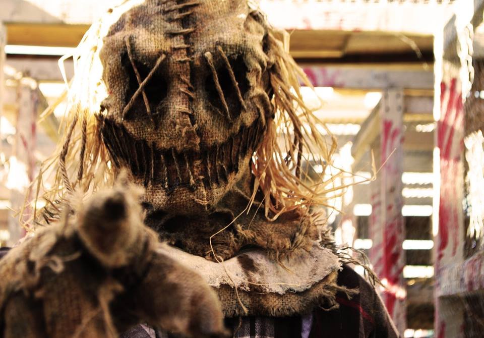 creepy scarecrow pointing at the camera