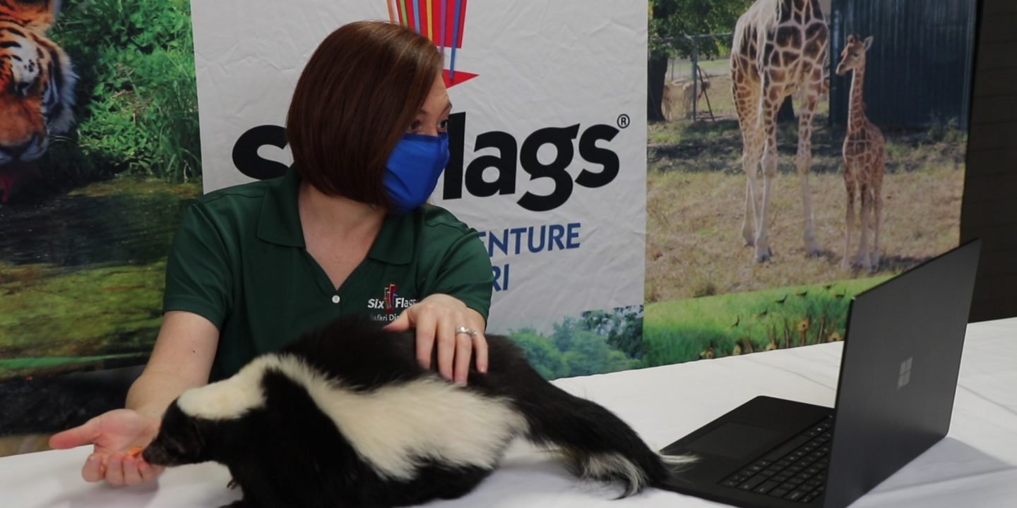 jb-virtual-with-skunk-1-hero-image-1