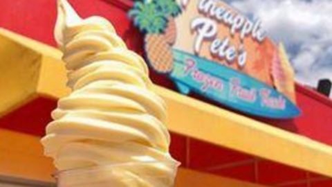 Pineapple-e1611262227501