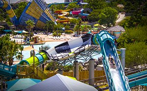 sfft_homepage-3up-wwb