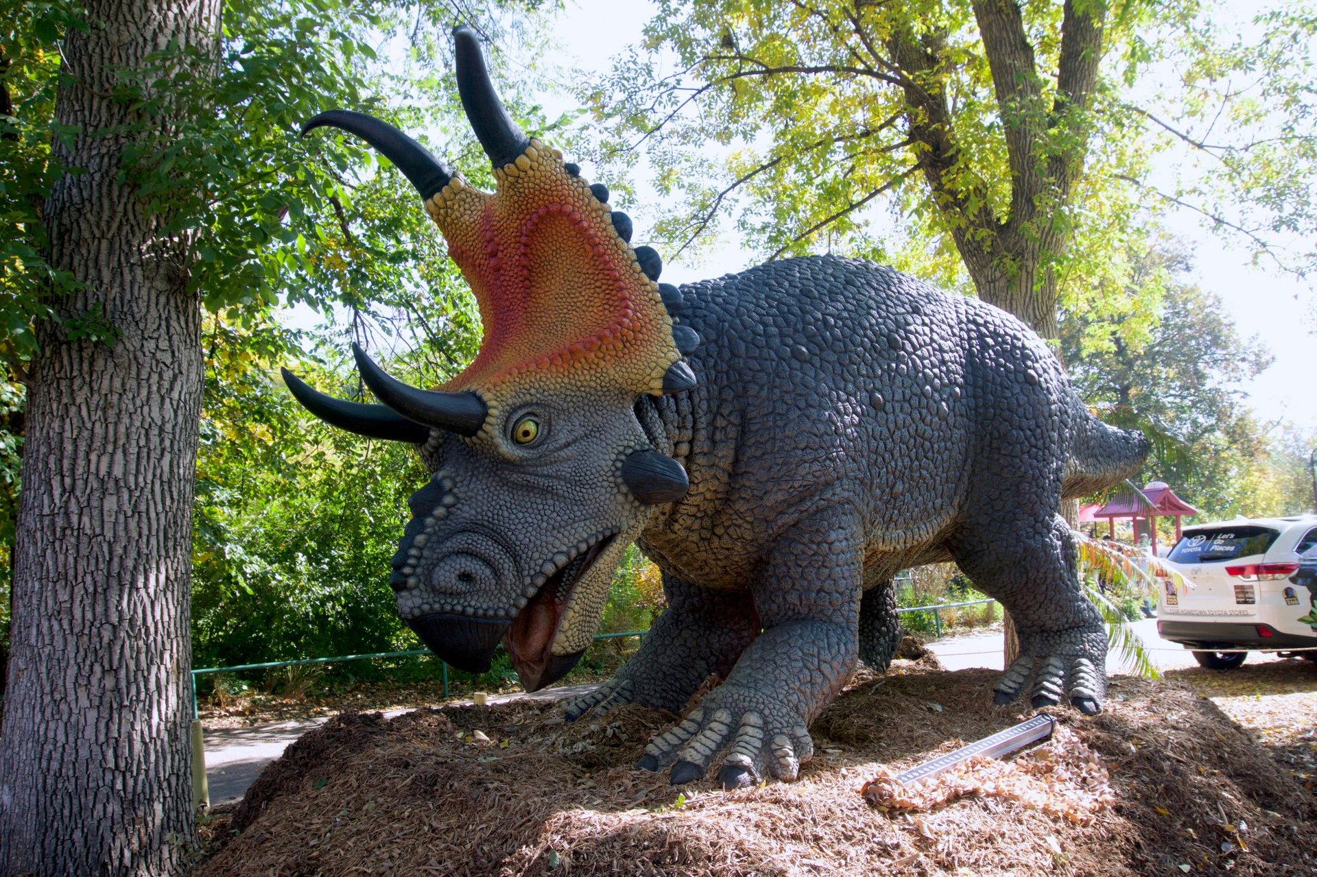 xpedition dino six flags great adventure
