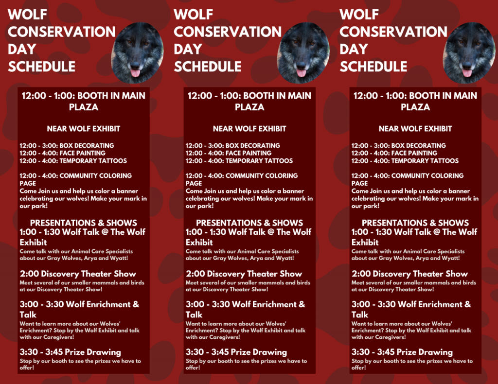 thumbnail_Wolf-Day-Schedule-Thirds