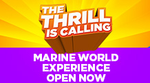 The Thrill is Calling Six Flags Marine World Experience open weekends and select days
