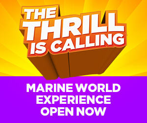 The Thrill is Calling Six Flags Marine World Experience Now Open